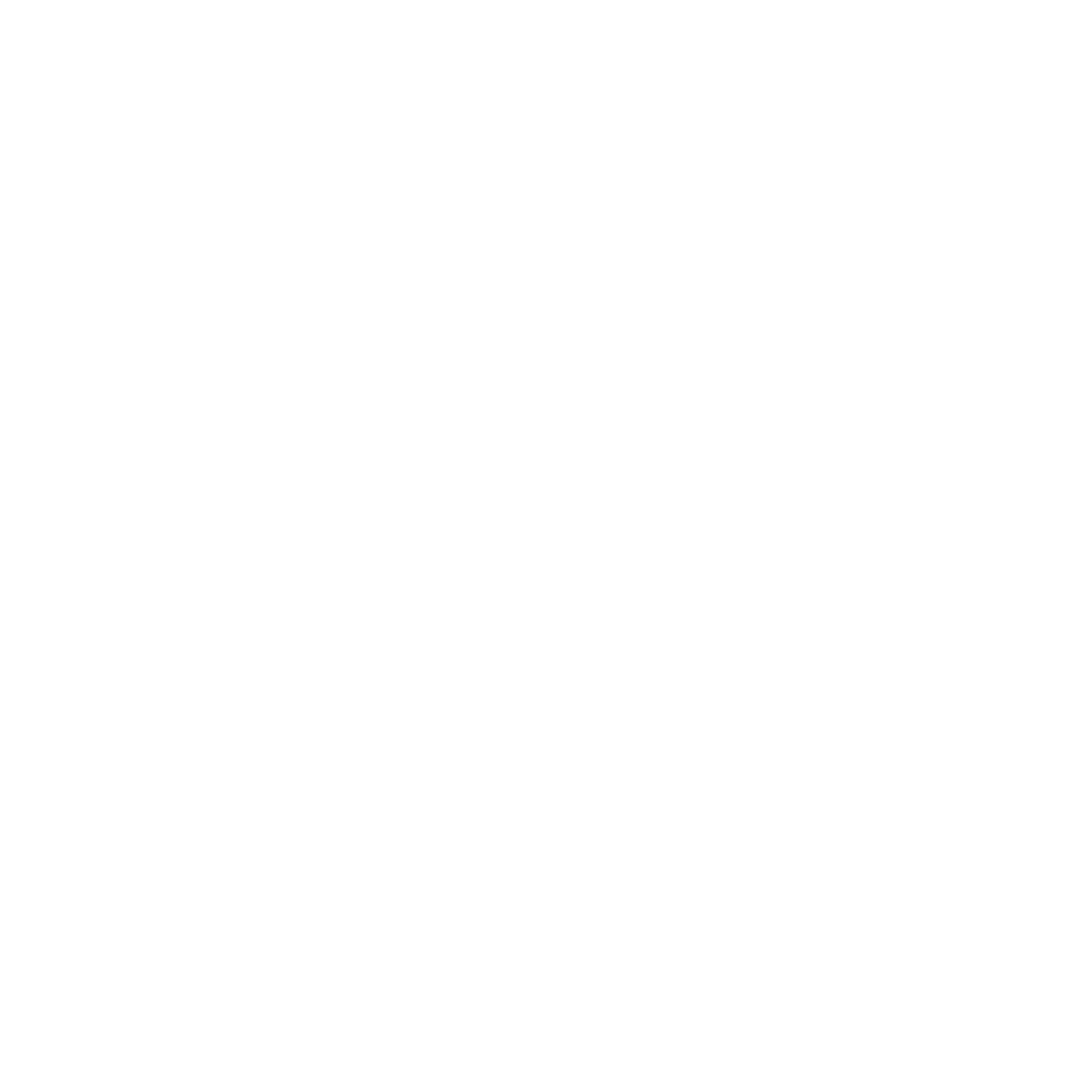 The Business Founder